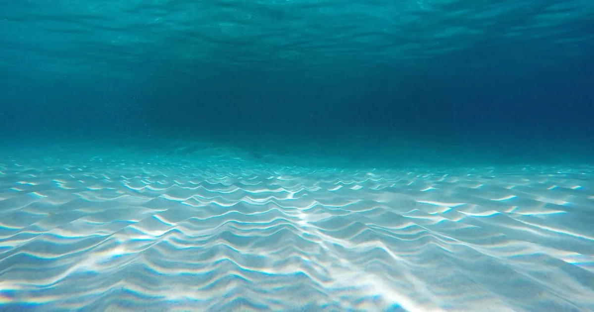 Under the surface of turquoise water